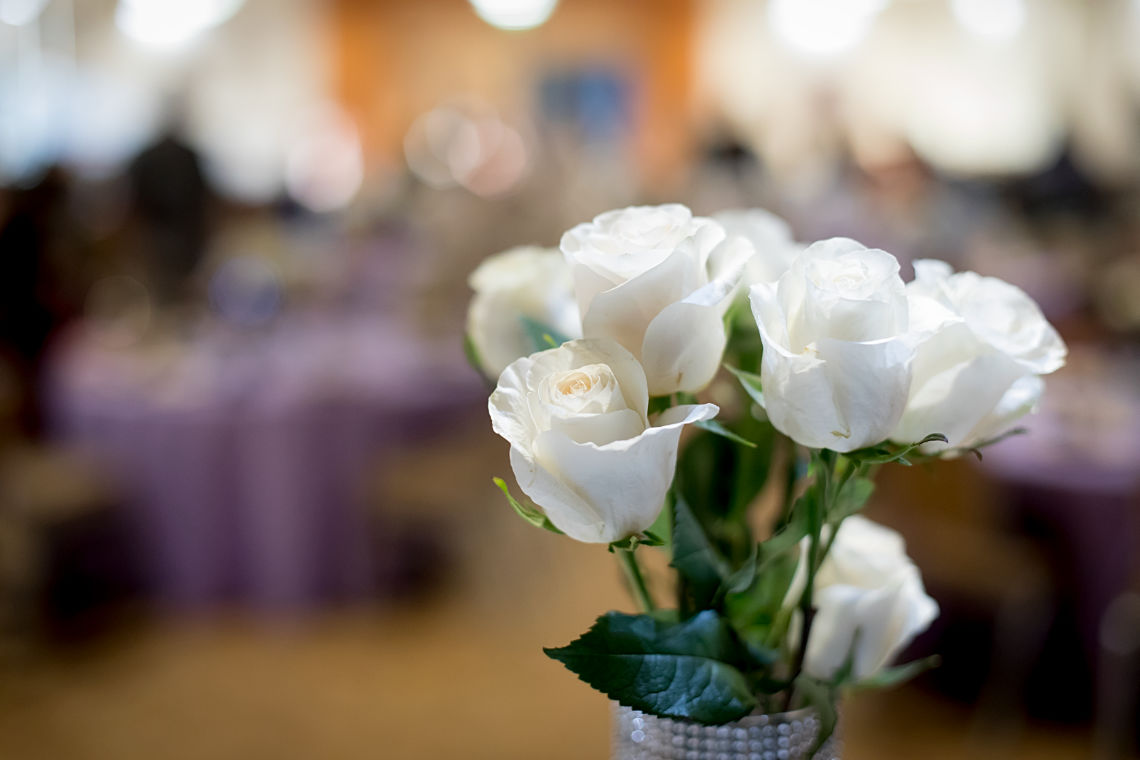 Weisse Rosen mit Unsch&auml;rfe
