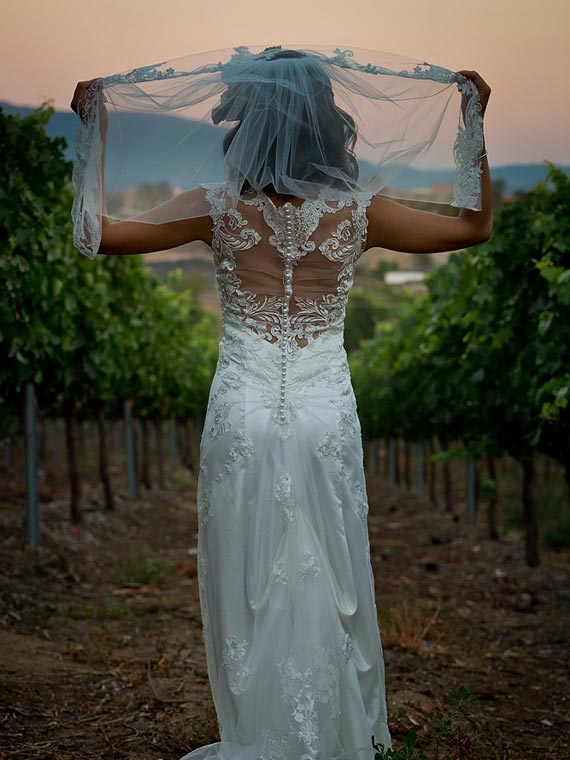 Bride next to grapevine at a vinery in Temecula