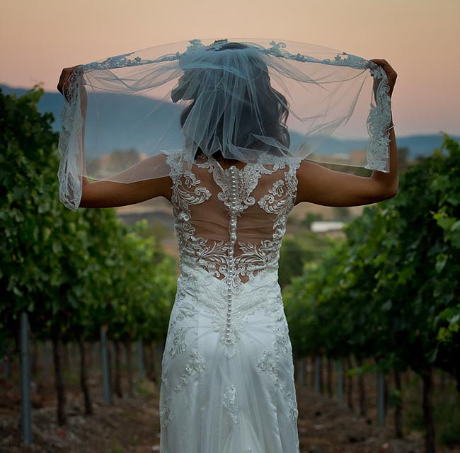 Wedding at a vinery in Temecula